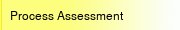 Process Assessment