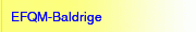 EFQM-Baldrige