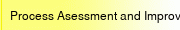Process Asessment and Improvement