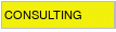 Consulting