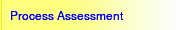Process Assessment